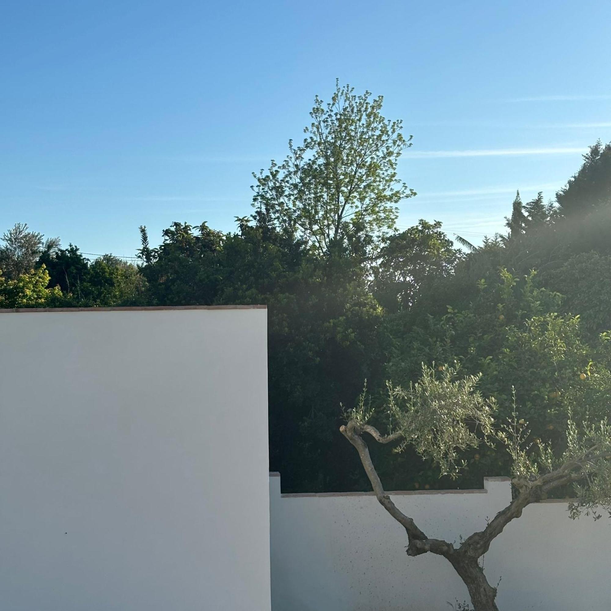 Bed and Breakfast Casa Santos Arcos Vistas Y Parking Privado Arcos de la Frontera Exterior foto